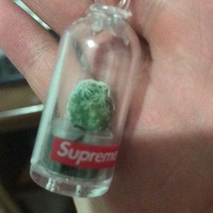 Supreme cactus keychain